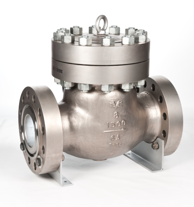 Swing Check Valve - Edmund Valve Company Ltd